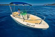 Fisher 17 60HP - 3
