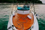 Fisher Sundeck 75HP - 4
